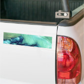 Aleusianwolken<br> Autoaufkleber (Auf Lkw)