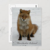 Aleutian Fox im Winter, Insel Unalaska Postkarte (Vorne/Hinten)