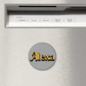 Alexa Magnet (In Situ (Geschirrspüler))