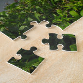 Alexander Bridge Ottawa. Puzzle (Seite)