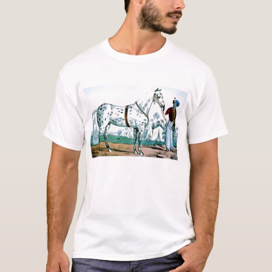 Alexander das Pferd, USA 1840 T-Shirt (Vorderseite)