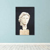 Alexander der Große Leinwanddruck (Insitu (Holzboden))