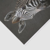 Alexander der Zebra Seidenpapier (Ausschnitt)