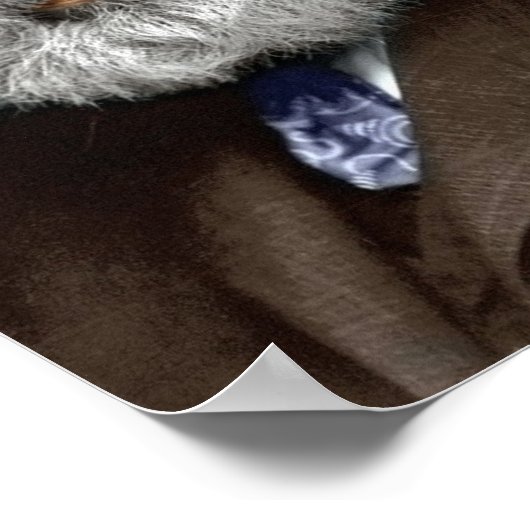 Alexander Graham Bell Poster (Ecke)