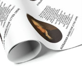 Alexander Hamilton-Demokratie-Erfahrungs-Tyrannei Geschenkpapier (Rolleneckpunkt)