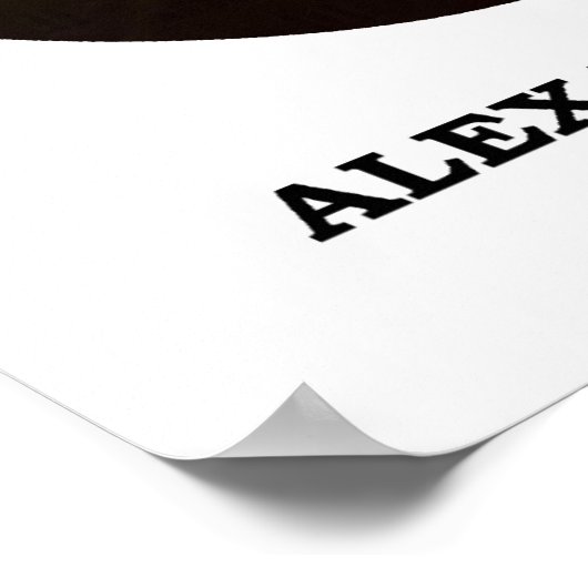 Alexander Hamilton Government Passion Constraint Poster (Ecke)