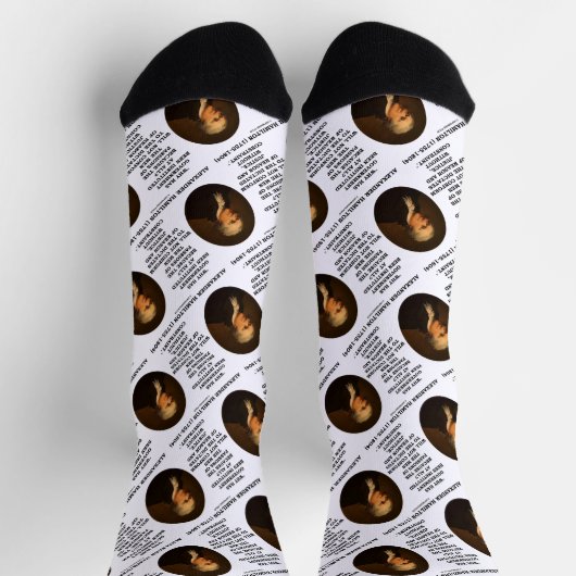 Alexander Hamilton Government Passion Constraint Socken (Oben)