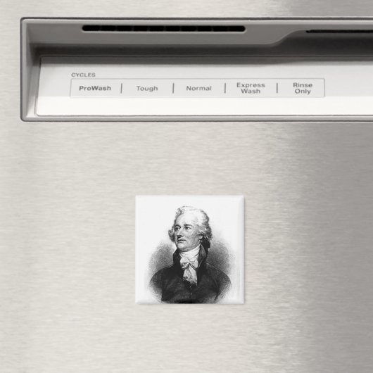 Alexander Hamilton Magnet (In Situ (Geschirrspüler))