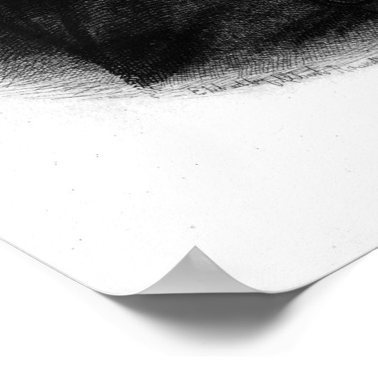 Alexander Hamilton Poster (Ecke)