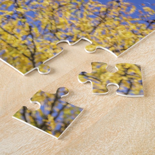 Alexander Hamilton-Statue Puzzle (Seite)