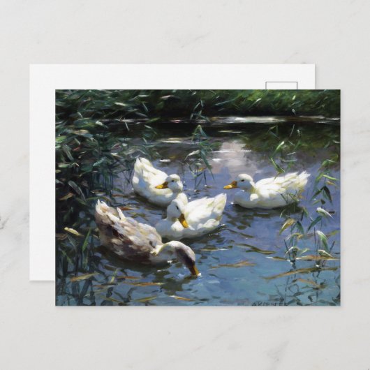Alexander Koester Four Ducks im Teich Postkarte (Vorne/Hinten)