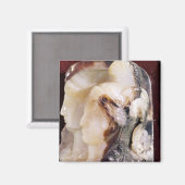 Alexander-Porträt von Cameo Magnet (Vorderseite/Rückseite)