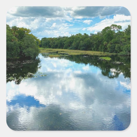 Alexander Springs Creek Quadratischer Aufkleber (Vorderseite)