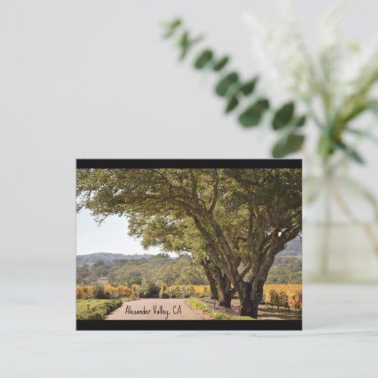Alexander-Valley-Postkarte Postkarte (Stehend Vorderseite)