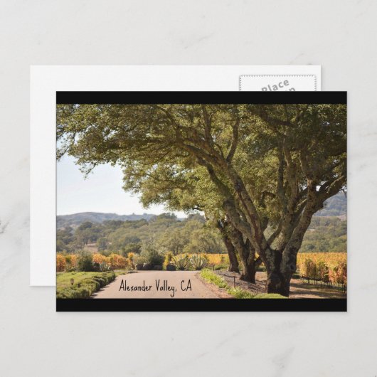 Alexander-Valley-Postkarte Postkarte (Vorne/Hinten)