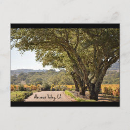 Alexander-Valley-Postkarte Postkarte