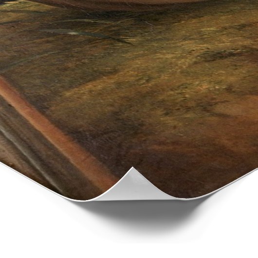 Alexander von Humboldt Poster (Ecke)