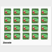Alexandrine Parakeet Quadratischer Aufkleber (Blatt)