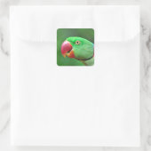 Alexandrine Parakeet Quadratischer Aufkleber (Tasche)