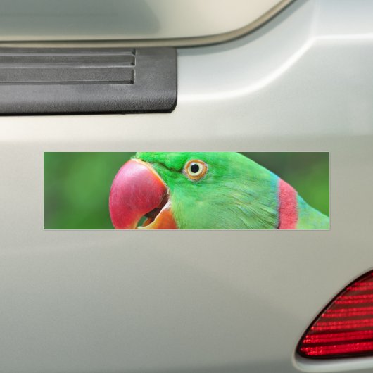 AlexandrineParakeet Autoaufkleber (Auf Auto)