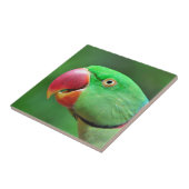 AlexandrineParakeet Fliese (Seite)