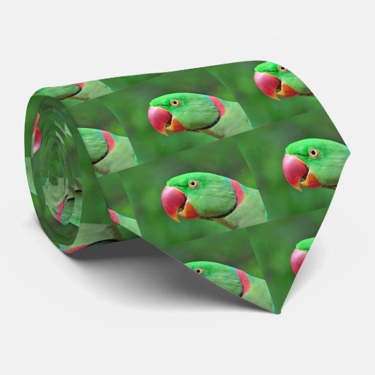 AlexandrineParakeet Krawatte (Gerollt)