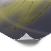 Alexis Angel Wings POSTER (Ecke)