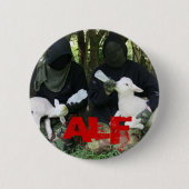 ALF BUTTON (Vorderseite)