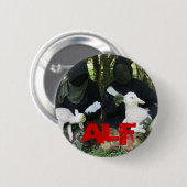 ALF BUTTON (Vorne & Hinten)