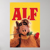 ALF POSTER (Vorne)