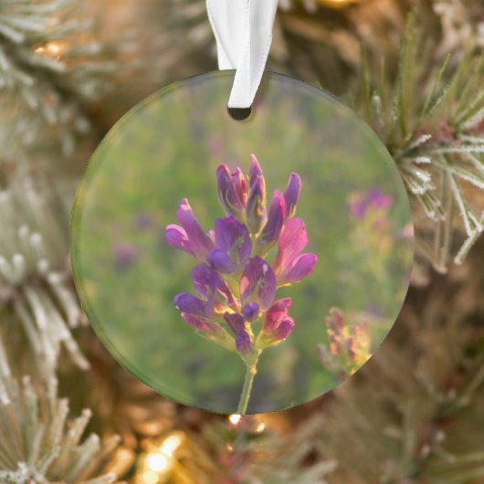 Alfalfa-Blume Ornament (Baum)