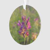 Alfalfa-Blume Ornament (Vorderseite)