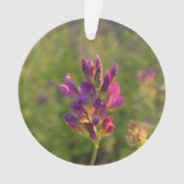 Alfalfa-Blume Ornament (Vorderseite)
