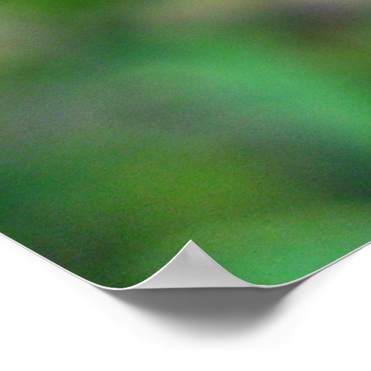 Alfalfa Blume Poster (Ecke)