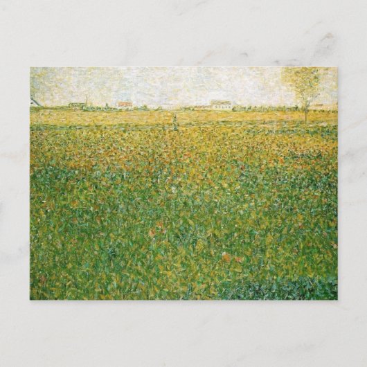Alfalfa Fields Postkarte (Vorderseite)