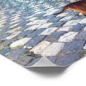 Alfama Dog Architecture Foto Poster (Ecke)