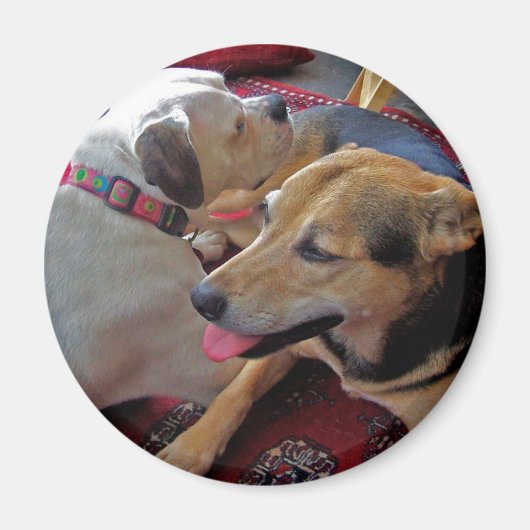 Alfie & Holly: Beste Buds Magnet (Vorne)