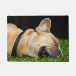 Alfombra de perro para hogar fußmatte