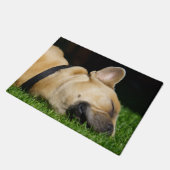 Alfombra de perro para hogar fußmatte (Schrägansicht)
