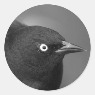 Alfred Hitchcock-Persönlichkeit Runder Aufkleber