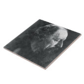 Alfred, Lord Tennyson (1809-92) c.1868 Fliese (Seite)