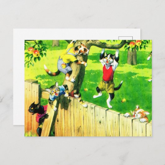 Alfred Mainzer-Katzen klettern auf einen Apfelbaum Postkarte (Vorne/Hinten)