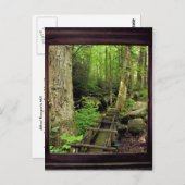 Alfred Reagans Mill Postkarte (Vorne/Hinten)