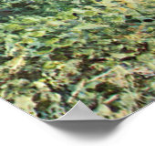 Alfred Sisley 2 Poster (Ecke)