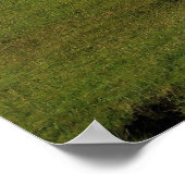 Alftavatn Poster (Ecke)