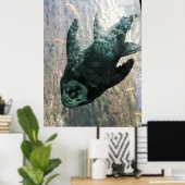 Algae eater in an aquarium. poster (Heimbüro)