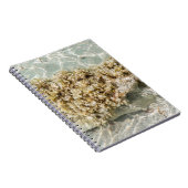 Algas Spiral Photo Notebook Notizblock (Rechte Seite)