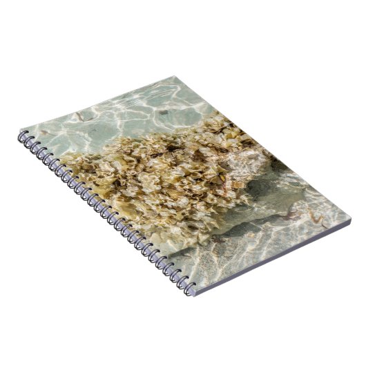 Algas Spiral Photo Notebook Notizblock (Rechte Seite)