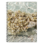Algas Spiral Photo Notebook Notizblock (Vorderseite)