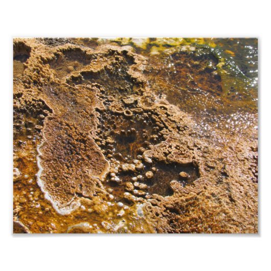 Algea-Pool Fotodruck (Vorne)